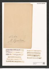 Nitzschia sigmoidea (Nitzsch.) W. Sm. (de-Toni-Nr.: Genus 47, Species 2093) Zeichnungen Sammlung Grunow (NHMW-BOT-W0372044)